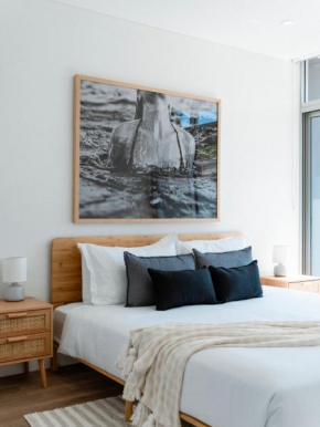 The Nancy Bondi, Sydney
